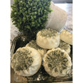 Load image into Gallery viewer, Jamaican Black Castor Oil & Rosemary Mint Shampoo Bars
